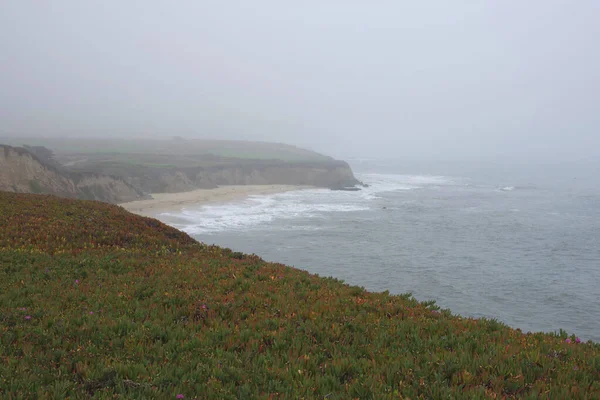 夏の初めの日に曇りと霧の中でラフと野生の中央カリフォルニア海岸のセクション — ストック写真