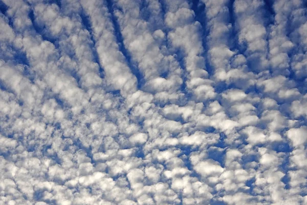Плотная Облачность Голубом Небе Летний Вечер Закате — стоковое фото