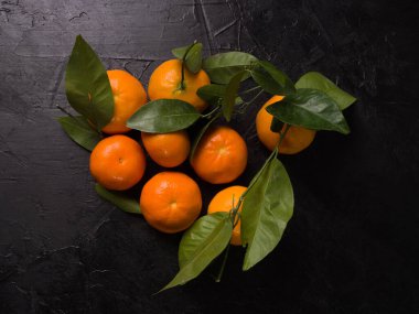 Siyah arka planda yaprakları olan mandalinalar. Çin tatlı mandalinaları