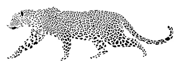 Der Leopard Kommt Das Bild Ist Form Von Schwarzen Flecken — Stockvektor
