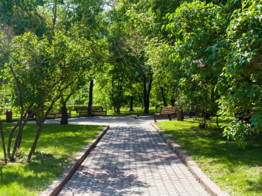 Şehir meydanı. Çakıl taşı yolu, dinlenmek için banklar. Parktaki yeşil bitki örtüsü. Güneşli yaz günü
