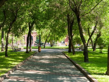 Şehir meydanı. Çakıl taşı yolu, dinlenmek için banklar. Parktaki yeşil bitki örtüsü. Güneşli yaz günü