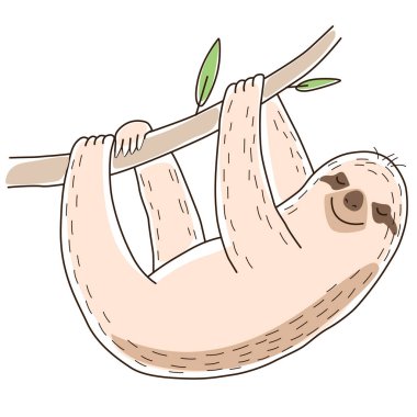 Şirin bir tembel hayvan pençeleri ve gülümsemesiyle bir dala tutunur. Tarz vektör grafikleri