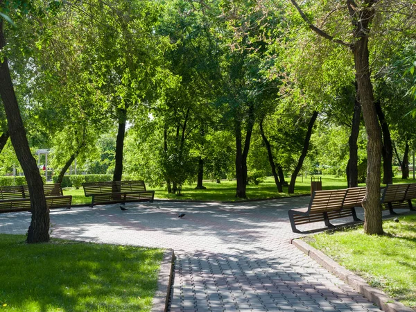 Bänke Einem Gemütlichen Stadtpark Sommersonniger Tag Städtische Umwelt — Stockfoto