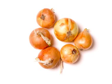 Bir demet soğan. Beyaz arka planda soğanlar. Stüdyo fotoğrafçılık