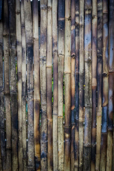 Close up of bamboo wood background texture — Stock Photo, Image