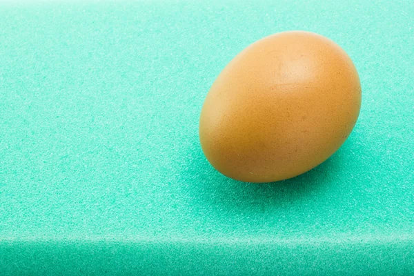 Ägg på svamp — Stockfoto