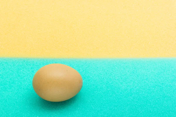 Ägg på svamp — Stockfoto