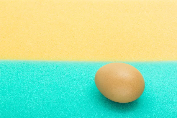 Eggs on sponge — Stock Photo, Image