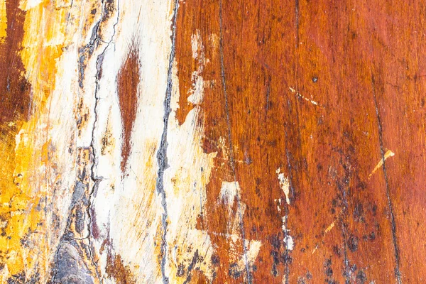 Bir ağaç gövdesi güzel desenli Close-Up — Stok fotoğraf