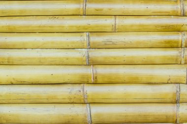 Bambu çit arka plan