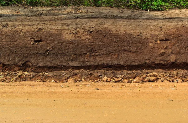 Section of dirt road. — Stock Photo, Image