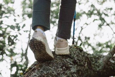 Ormanda ağaç gövdesinde yürüyen yürüyüşçüye yakın çekim, macera sembolü, keşif, denge, doğa yaşam tarzı, yürüyüş, meydan okuma ve yürüyüş botlarıyla doğa içinde yolculuk. yürüyüş macerası