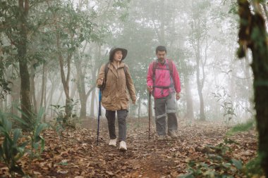 Sırt çantaları ve yürüyüş direkleriyle orman yolunda birlikte yürüyen iki yürüyüşçü, macera sembolü, takım çalışması, açık hava yaşam tarzı, keşif, yolculuk ve seyahat ilhamı..