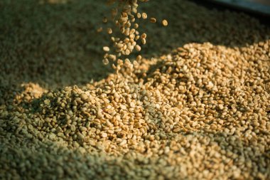 Akıllı çiftçilik teknikleri, kızartma makineleri kahve, güneş ışığı, güneş ışığı, güneş ışığı, tarım, çiftçi kavramını destekliyor.