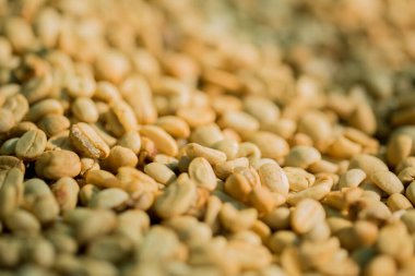 Akıllı çiftçilik teknikleri, kızartma makineleri kahve, güneş ışığı, güneş ışığı, güneş ışığı, tarım, çiftçi kavramını destekliyor.