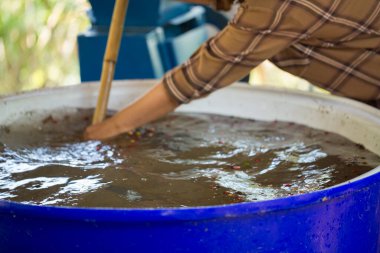 Akıllı çiftçi tekniklerini kapatın kahve makineleri kızartma aletleri kuru güneş ışınları güneş ışığı güneş ışığı taze bahçe tarımı çiftçi kavramı çiftliği arka planını bulanıklaştırıyor