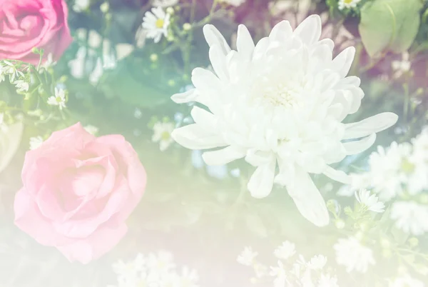 Flor de fantasia doce abstrato com filtros coloridos em foco suave — Fotografia de Stock