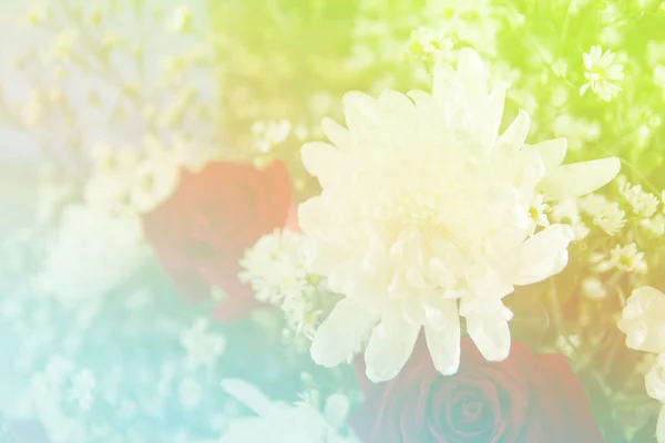 Flor de fantasia doce abstrato com filtros coloridos em foco suave — Fotografia de Stock