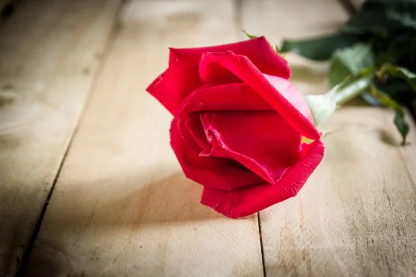 Flor de rosa roja oscura en primer plano de madera. Enfoque selectivo — Foto de Stock