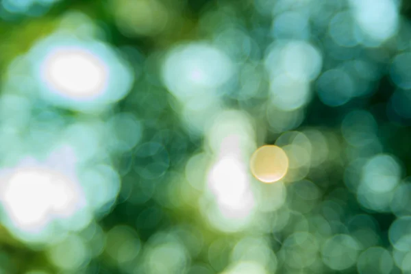 태양의 추상적 인 녹색 배경 선택적 인 초점. — 스톡 사진