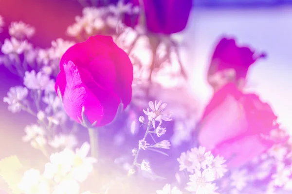 Flor de fantasia doce abstrato com filtros coloridos em foco suave e estilo borrão para fundo — Fotografia de Stock