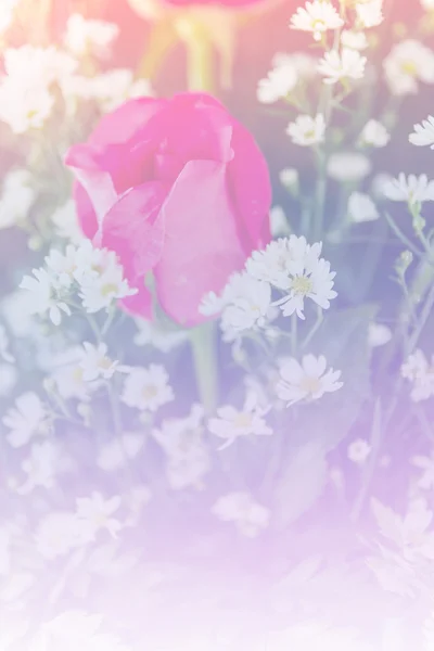 Flor de fantasía dulce abstracta con filtros coloridos en enfoque suave y estilo borroso para fondo — Foto de Stock