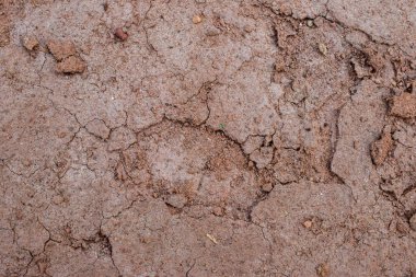 Toprak çatlamış Toprak Kahverengi Arkaplan Stok Fotoğrafı