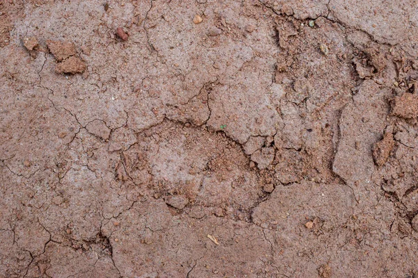 Earth Cracked Ground Soil Brown Color Background Stock Photograph Image — Stock Photo, Image