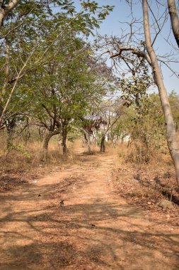 Tarihi Kale 'de Kirli Yol. Kirli Yol Görünümü Arka plan sto