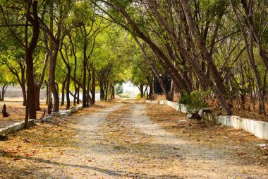 Sonbahar sezonu arka planında Kirli Kuru Yol Yolu, Düşen Yapraklar kirli yol resmi üzerinde