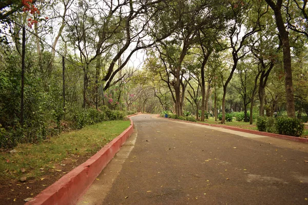 Dirty Road Pathway Background Falling Leaves Dirty Road Stock Photograph — 스톡 사진