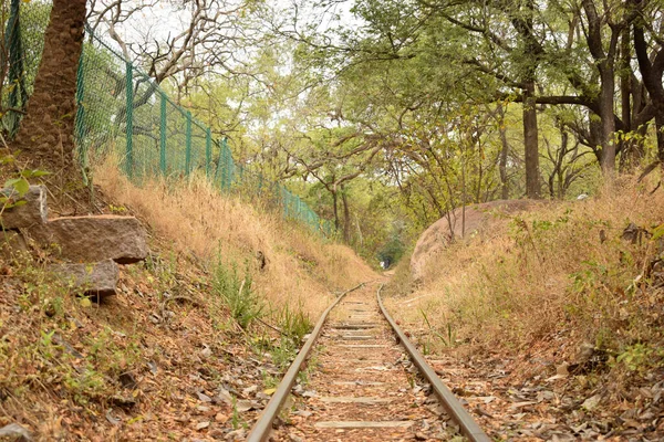 Old Abandened Train Tracks Forest Stock Photograph Image — Stock Photo, Image
