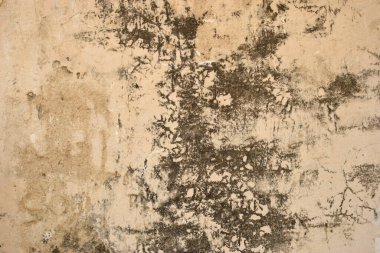 Sert Grunge Vintage açık gri Soyulmuş Çimento Duvarı Arka Arkaplan Di