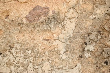 Kaba Grunge Vintage açık gri Soyulmuş Çimento Duvarı Arka planı Sıkıntılı, Eski Kirli Doku