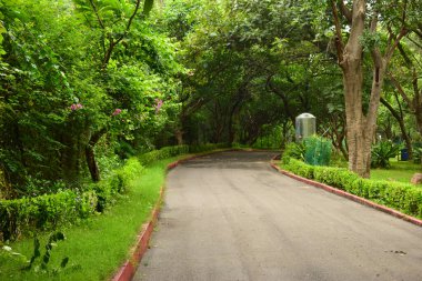 Kirli Islak Yol Yolu ve Yağmurlu Mevsim Arkaplanda Yeşil Ağaçlar