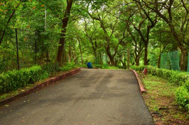 Kirli Islak Yol Yolu ve Yağmurlu Mevsim Arkaplanda Yeşil Ağaçlar