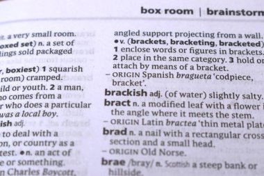 İngilizce Tanımlama Sözlüğü Sayfası - Brackish 'in Yazılı Sözcüğünün Kapanışı