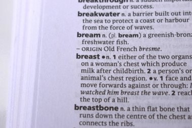 İngilizce Tanımlama Sözlüğü Sayfası - Göğüs Sözcüğünün Yazılı Sözcüğünün Kapanışı