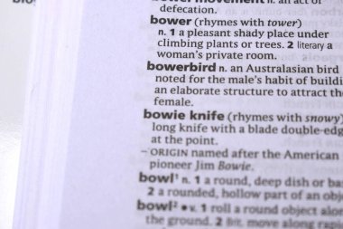 İngilizce Sözlük Sayfasını Kelimeyle Kapat - Bowerbird