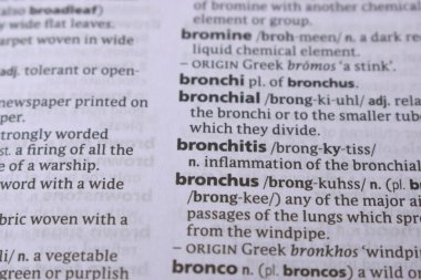 İngilizce Tanımlama Sözlüğü Sayfası - Bronşitin Yazılı Sözcüğünün Kapanışı