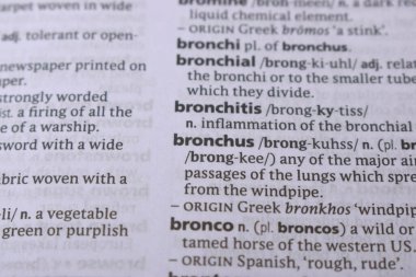 İngilizce Sözlük Sayfasını Kelimeyle Kapat - Bronchus