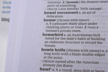 İngilizce Sözlük Sayfasını Kelimeyle Kapat - Bowerbird