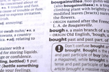 İngilizce Tanımlama Sözlüğü Sayfası - Bough Yazılı Sözcüğünün Kapanışı