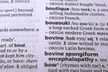 İngilizce Sözlük Sayfasını Sözcükle Kapat - Sığır