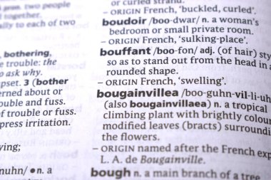 İngilizce Sözlük Sayfasını Kelimeyle Kapat - Bougainvillea