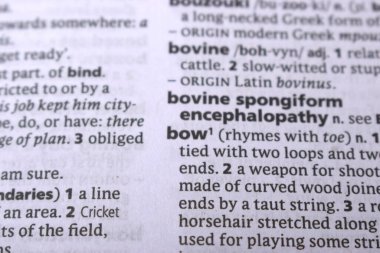 İngilizce Tanımlama Sözlüğü Sayfası - Yayın Sözcüğünün Kapalı Sayfası