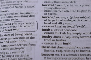 İngilizce Tanımlama Sözlüğü Sayfası - Bosh Sözcüğünün Yazılmış Sözcüğünün Kapanışı