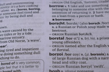 İngilizce Tanımlama Sözlüğü Sayfası - Borstal Yazılı Sözcüğünün Kapalı Sayfası