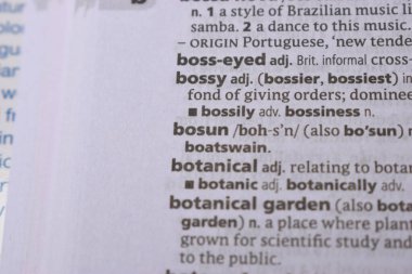İngilizce Tanımlama Sözlüğü Sayfası - Bosun 'un Yazılı Sözcüğünün Kapanışı